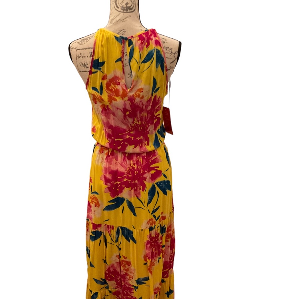 NWT Evereve Dress - Picture 3 of 4